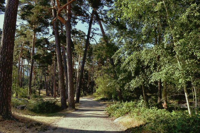 Vereda de la Canaleja